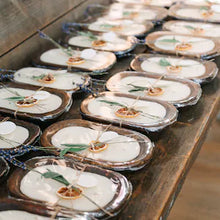 Load image into Gallery viewer, Dehydrated Fruits- 10 Pack