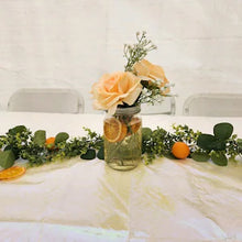 Load image into Gallery viewer, Dehydrated Fruits- 10 Pack
