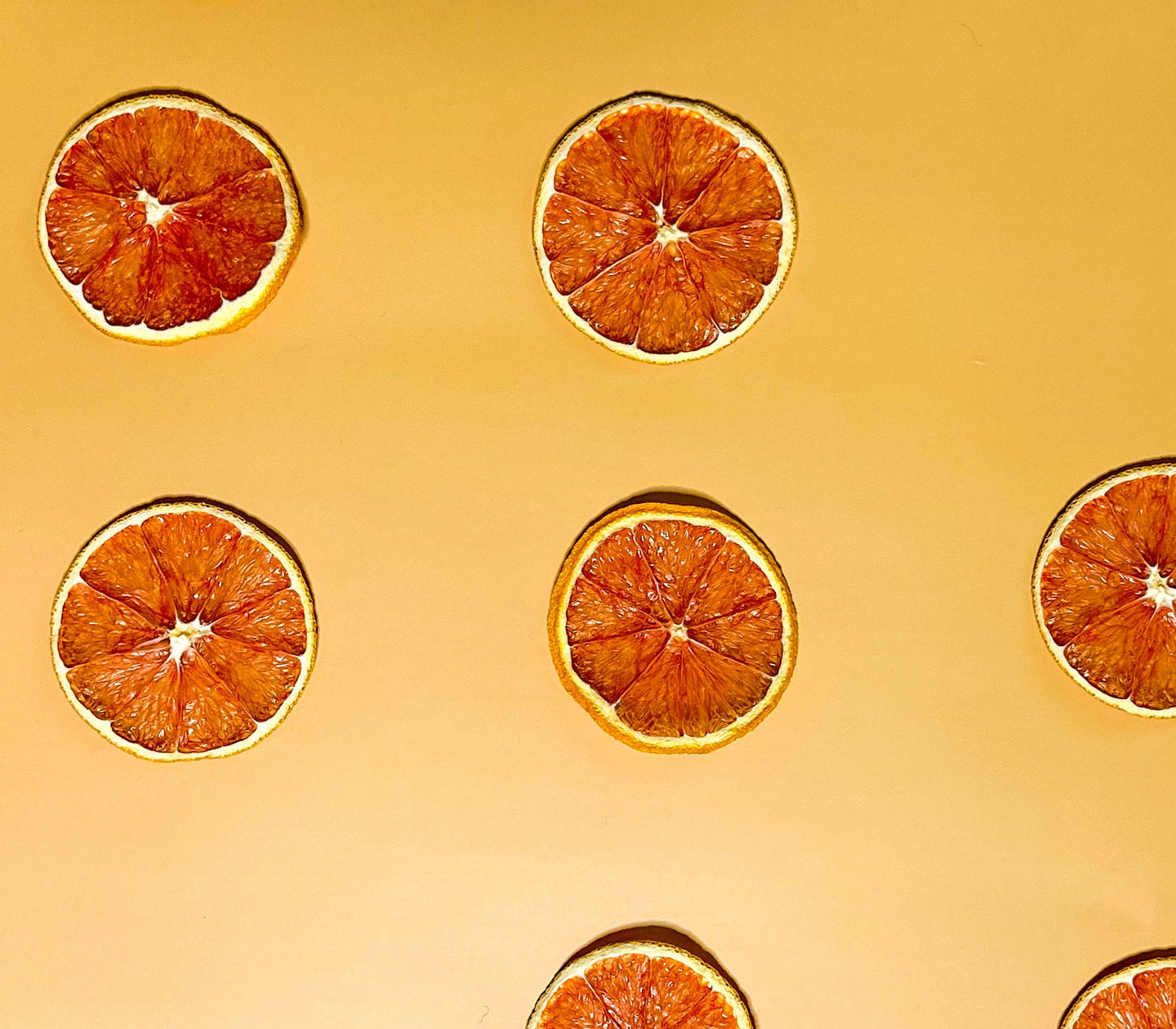Dried Citrus - Blood Orange, Orange, Lime and Lemon